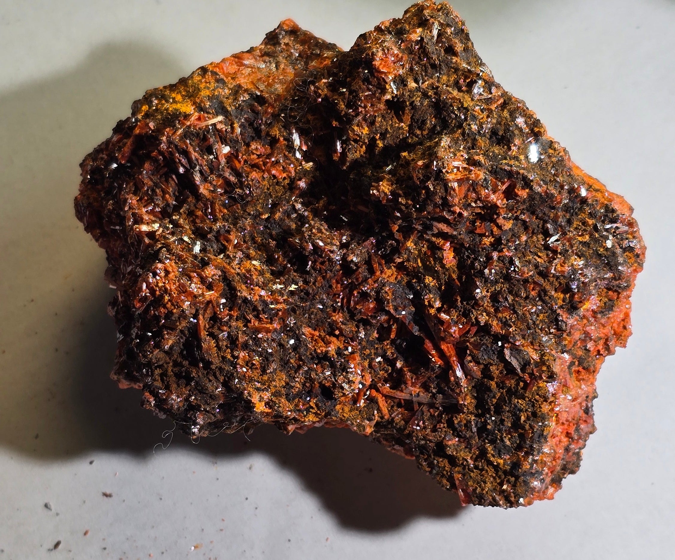 KROKOIT MIT CERUSSIT (small cabinet) SEHR SELTENE UND UNGEWÖHNLICHE KOMBINATION, RED LEAD MINE, TASMANIEN
