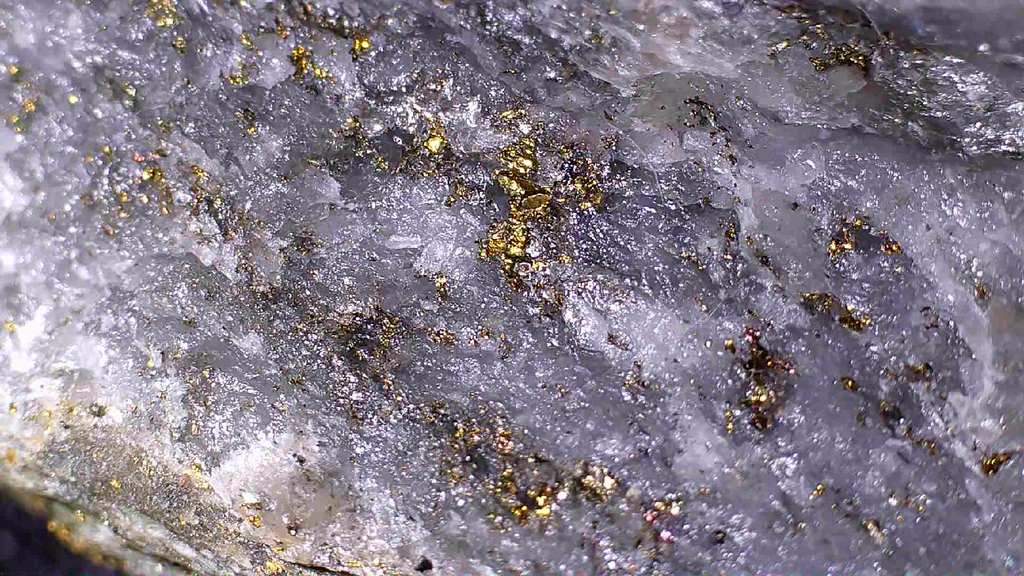 GOLD (ORE) , Muscovite, Chalcopyrite in quartz, Henty Gold Mine, Rosebery, Tasmania