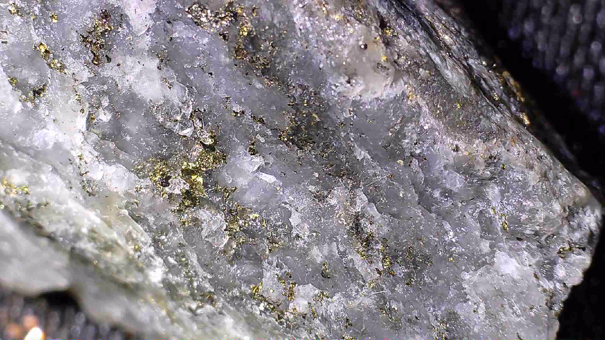 GOLD (ORE) , Muscovite, Chalcopyrite in quartz, Henty Gold Mine, Rosebery, Tasmania