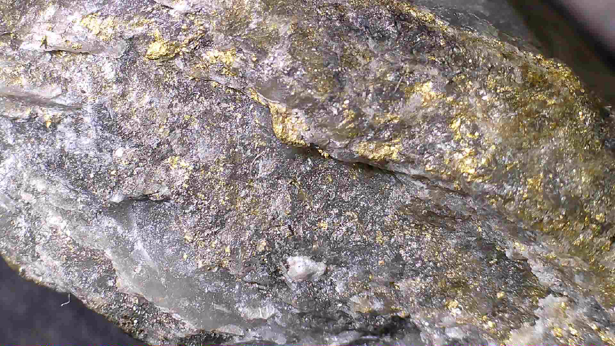 GOLD (ORE) , Muscovite, Chalcopyrite in quartz, Henty Gold Mine, Rosebery, Tasmania