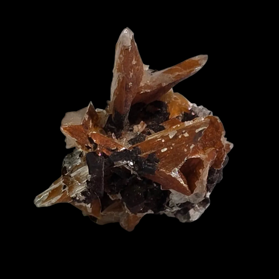 BARYTE, CERUSSITE et GALENA, Bassin de Mibladen Haute Moulouya ceinture Zeida-Aouli-Mibladen Province de Midelt (miniature)