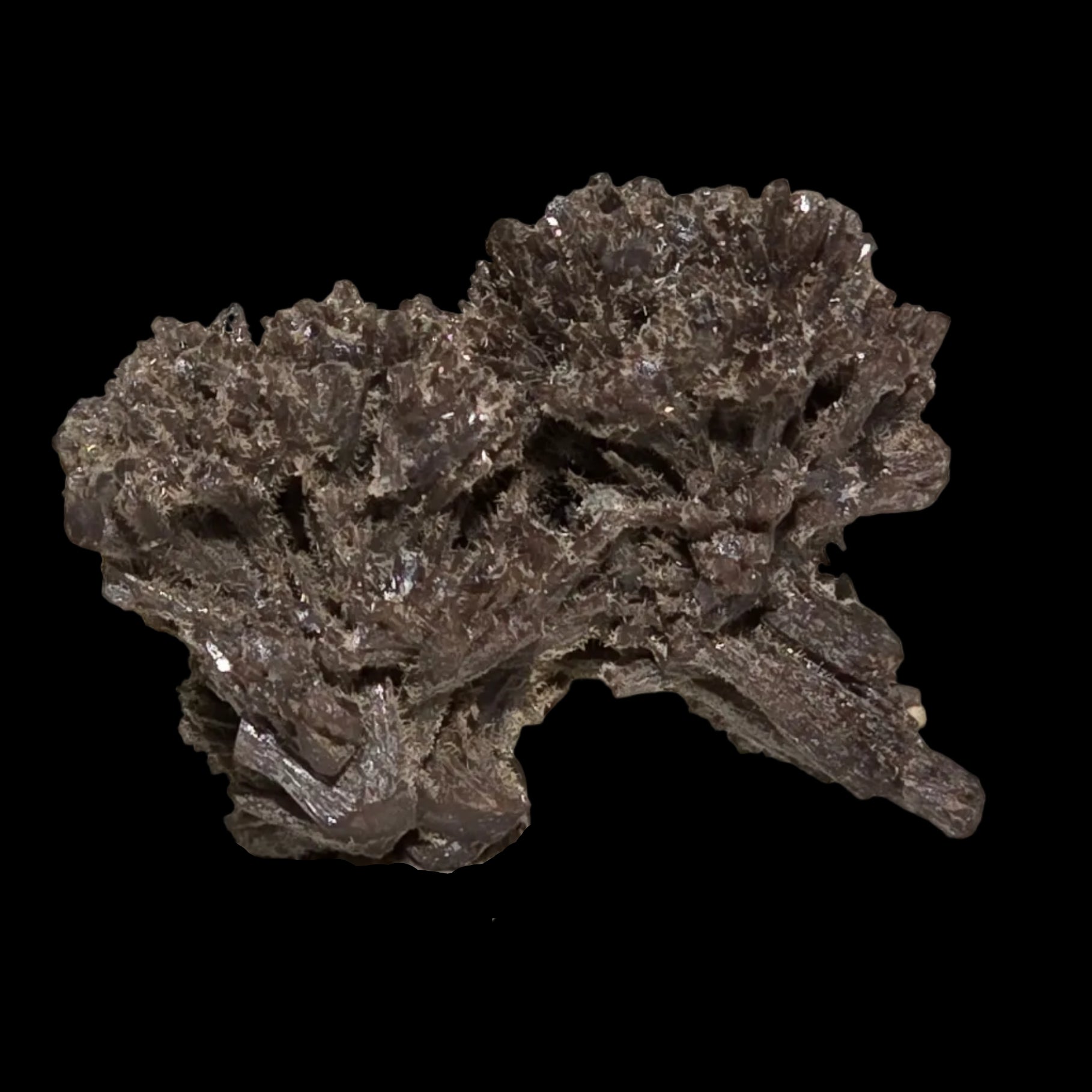 POLYSPHAERITE, Phosphohedyphane, Broken Hill, Australia