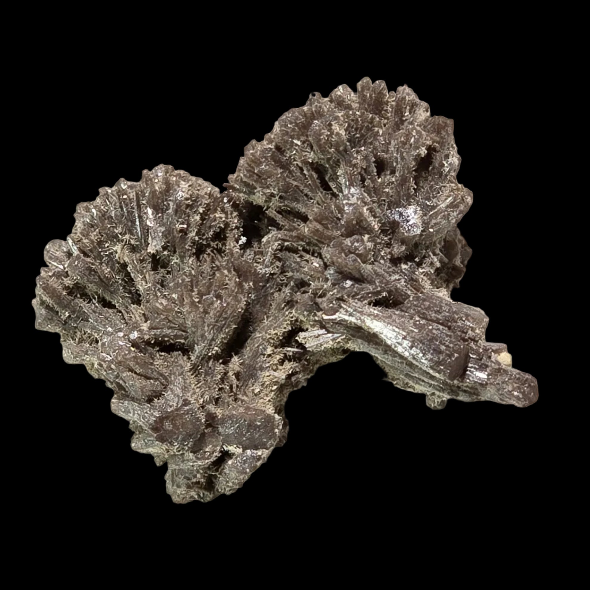 POLYSPHAERITE, Phosphohedyphane, Broken Hill, Australia