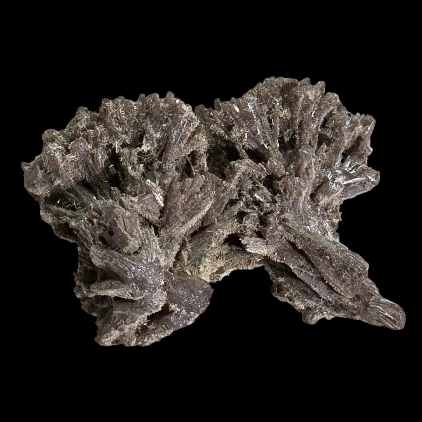 POLYSPHAERITE, Phosphohedyphane, Broken Hill, Australia