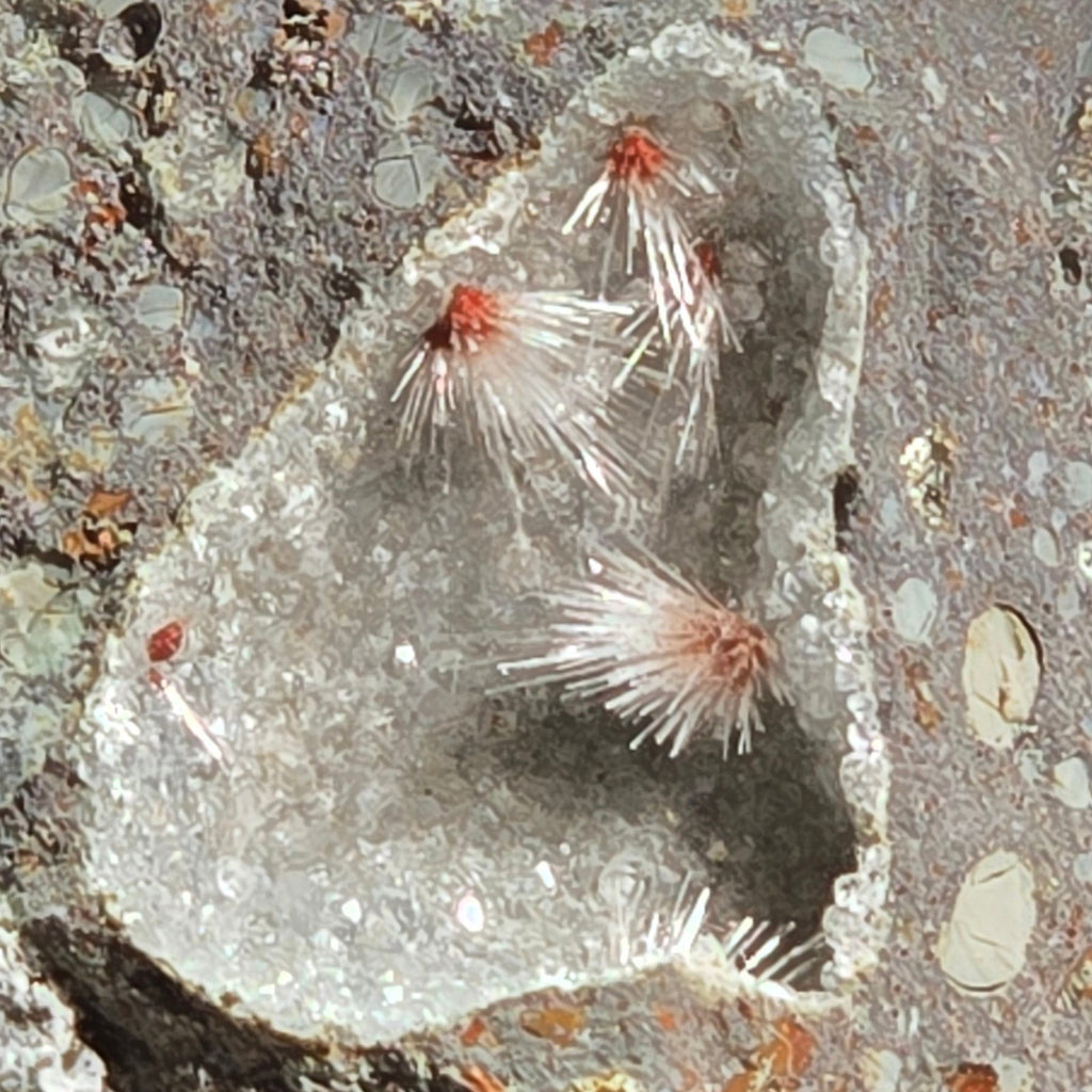 THOMSONITE on Analcime with Natrolite, Sunderland Bluff, Phillip Island, Bass Coast Shire, Victoria, Australia