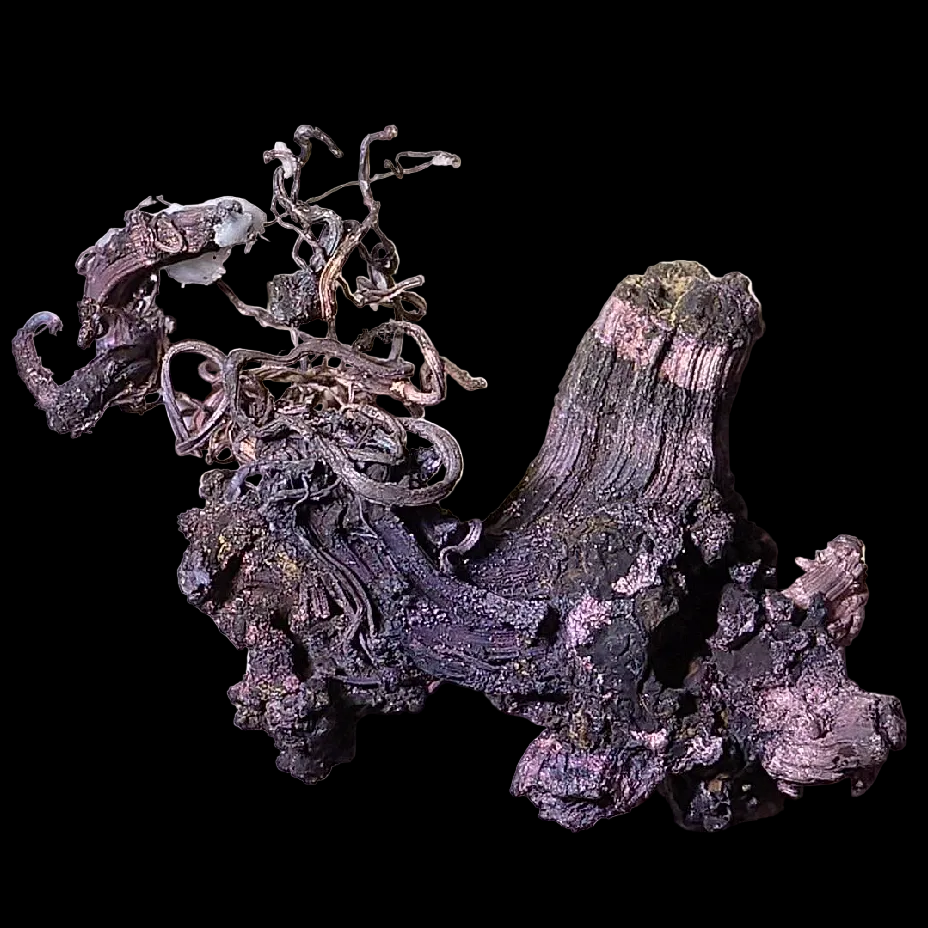 SILBER, Endeavor Mine (Elura Mine) Cobar Robinson Co. NSW Australien (Mikromount)