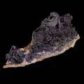 SILVER NATIVE, South Mine Broken Hill NSW Australia (micromount)