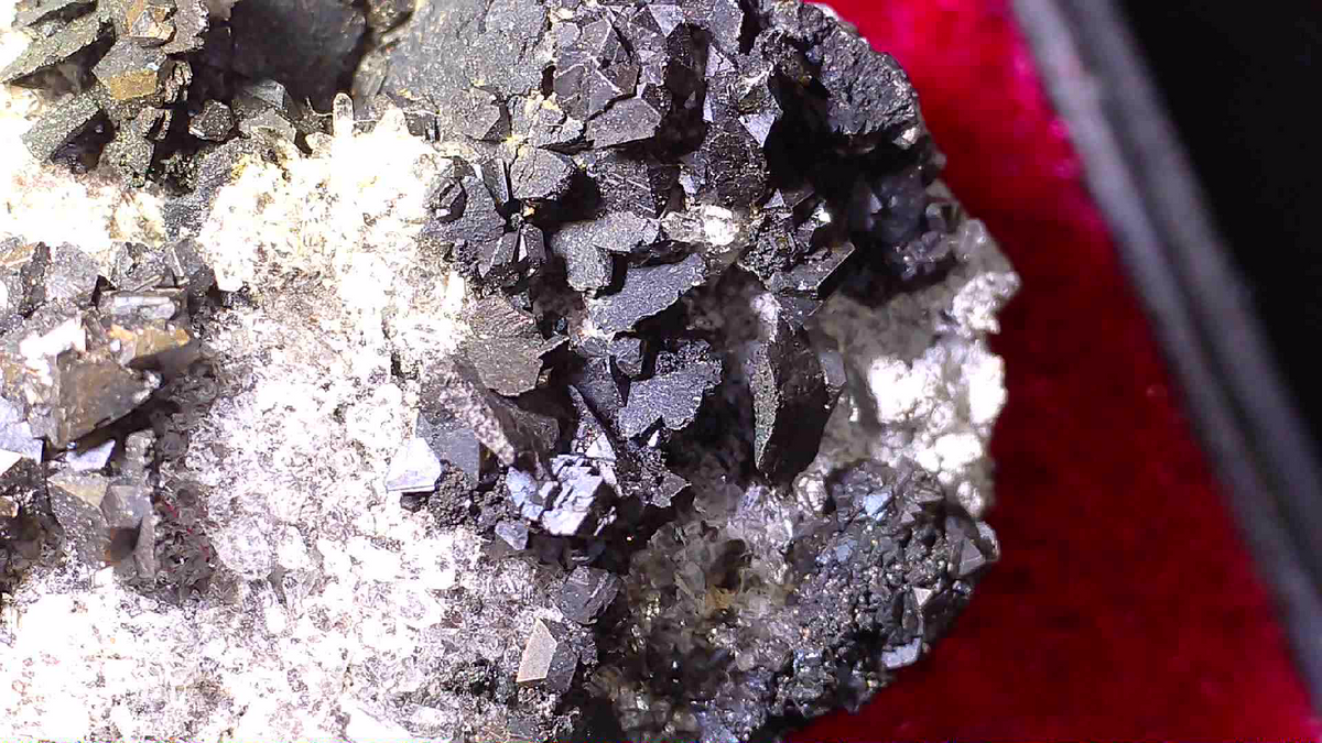 SPHALERIT (RUBY JACK), Elmwood Tennessee USA (large cabinet)
