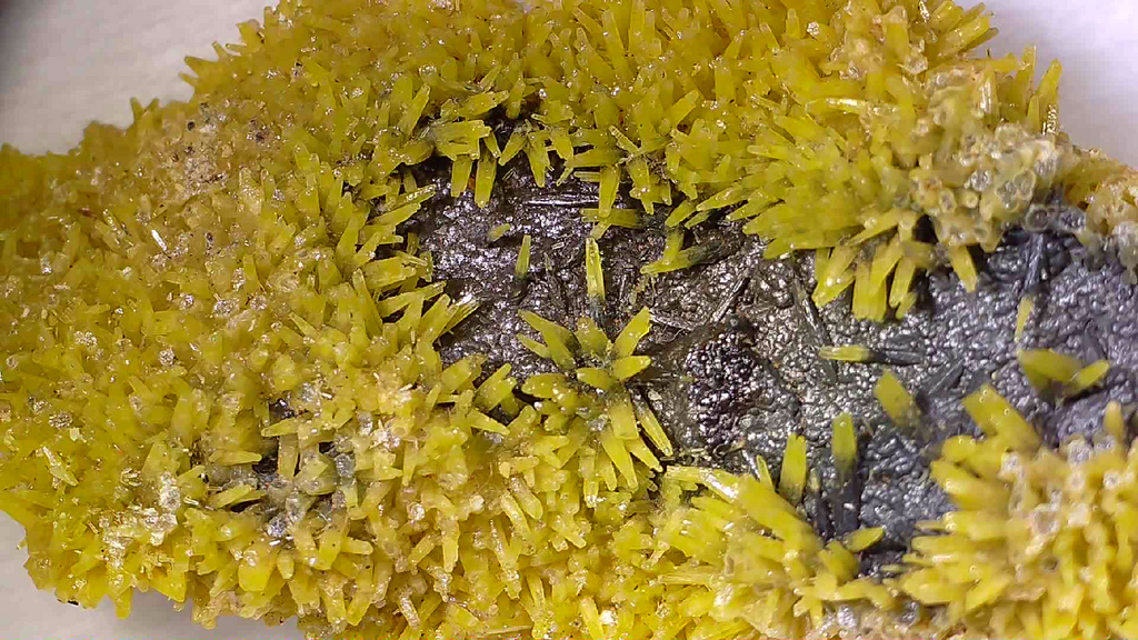 PYROMORPHITE, South Mine, Broken Hill, New South Wales, Australia (miniature)