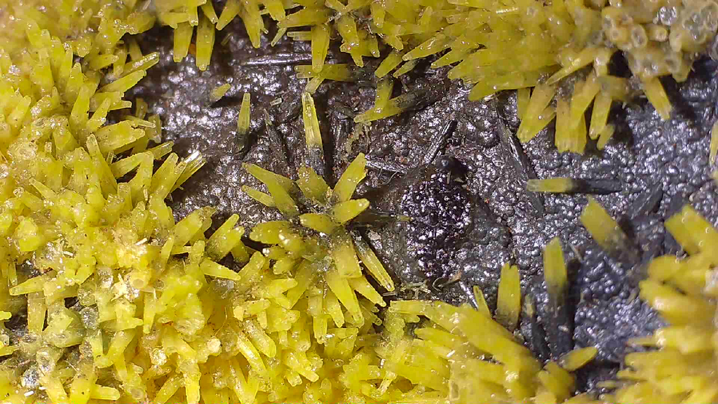 PYROMORPHITE, South Mine, Broken Hill, New South Wales, Australia (miniature)