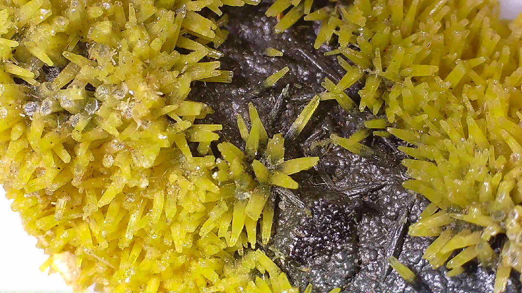 PYROMORPHITE, South Mine, Broken Hill, New South Wales, Australia (miniature)