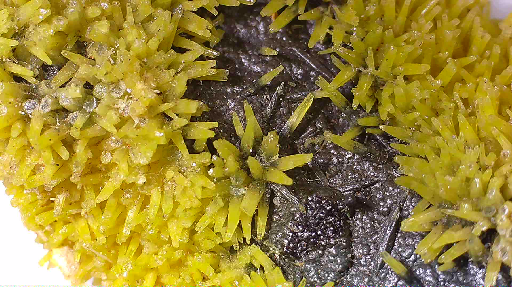 PYROMORPHITE, South Mine, Broken Hill, New South Wales, Australia (miniature)