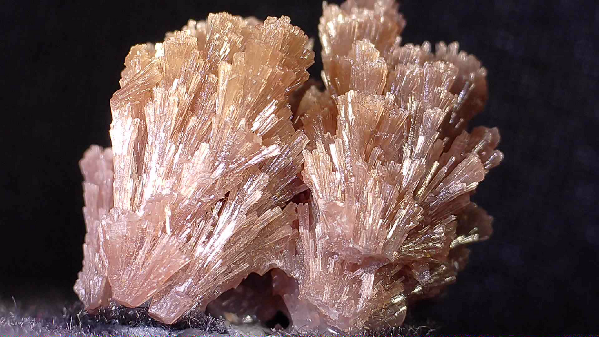 PYROMORPHIT (TAUSENDE VON HELLGRÜNEN KRISTALLEN) (large cabinet)