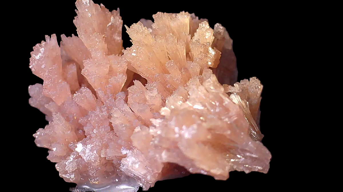 PYROMORPHIT (TAUSENDE VON HELLGRÜNEN KRISTALLEN) (large cabinet)