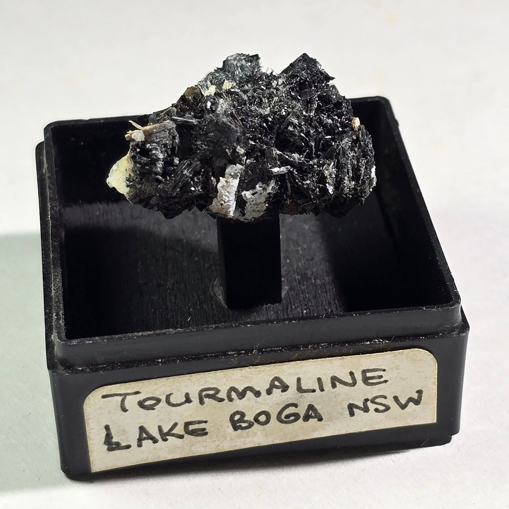 SCHORL (SCHWARZER TURMALIN) AUF MIKROKLIN, ERONGO-BERGE NAMIBIA