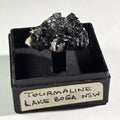SCHORL (SCHWARZER TURMALIN) AUF MIKROKLIN, ERONGO-BERGE NAMIBIA