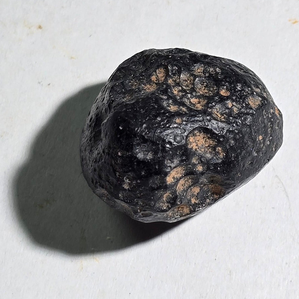 SILBER, Endeavor Mine (Elura Mine) Cobar Robinson Co. NSW Australien (Mikromount)
