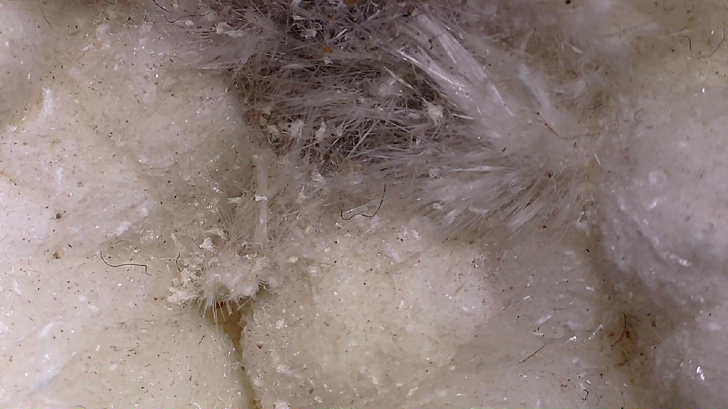 APOPHILLITE on Aragonite and sparays of Natrolite, Odha quarry Nashik District Nashik Division Maharasha INDIA (Cabinet)