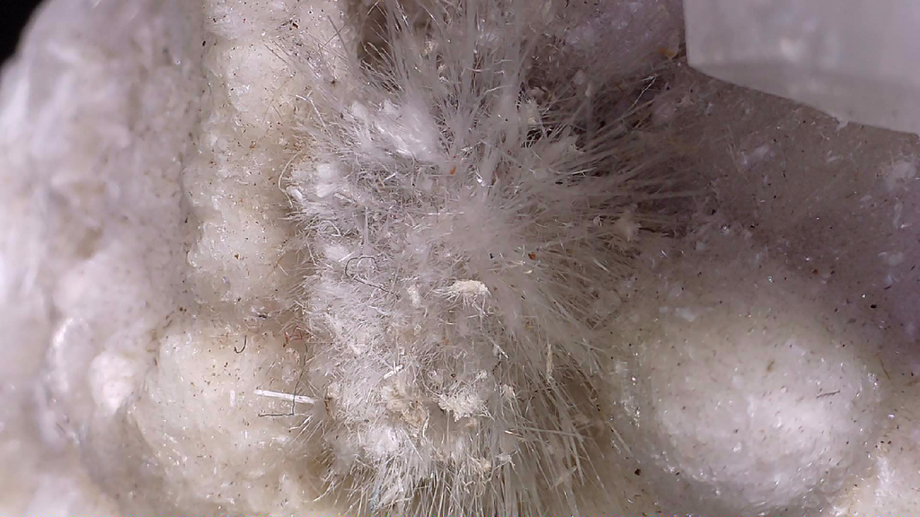 APOPHILLITE on Aragonite and sparays of Natrolite, Odha quarry Nashik District Nashik Division Maharasha INDIA (Cabinet)