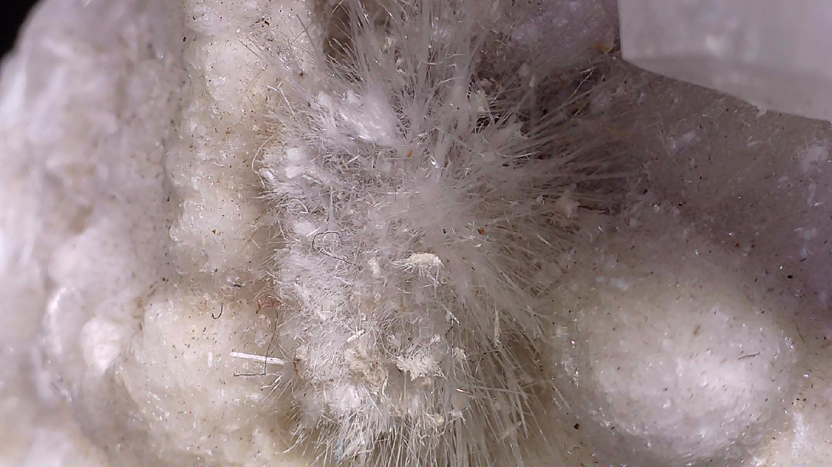 APOPHILLITE on Aragonite and sparays of Natrolite, Odha quarry Nashik District Nashik Division Maharasha INDIA (Cabinet)