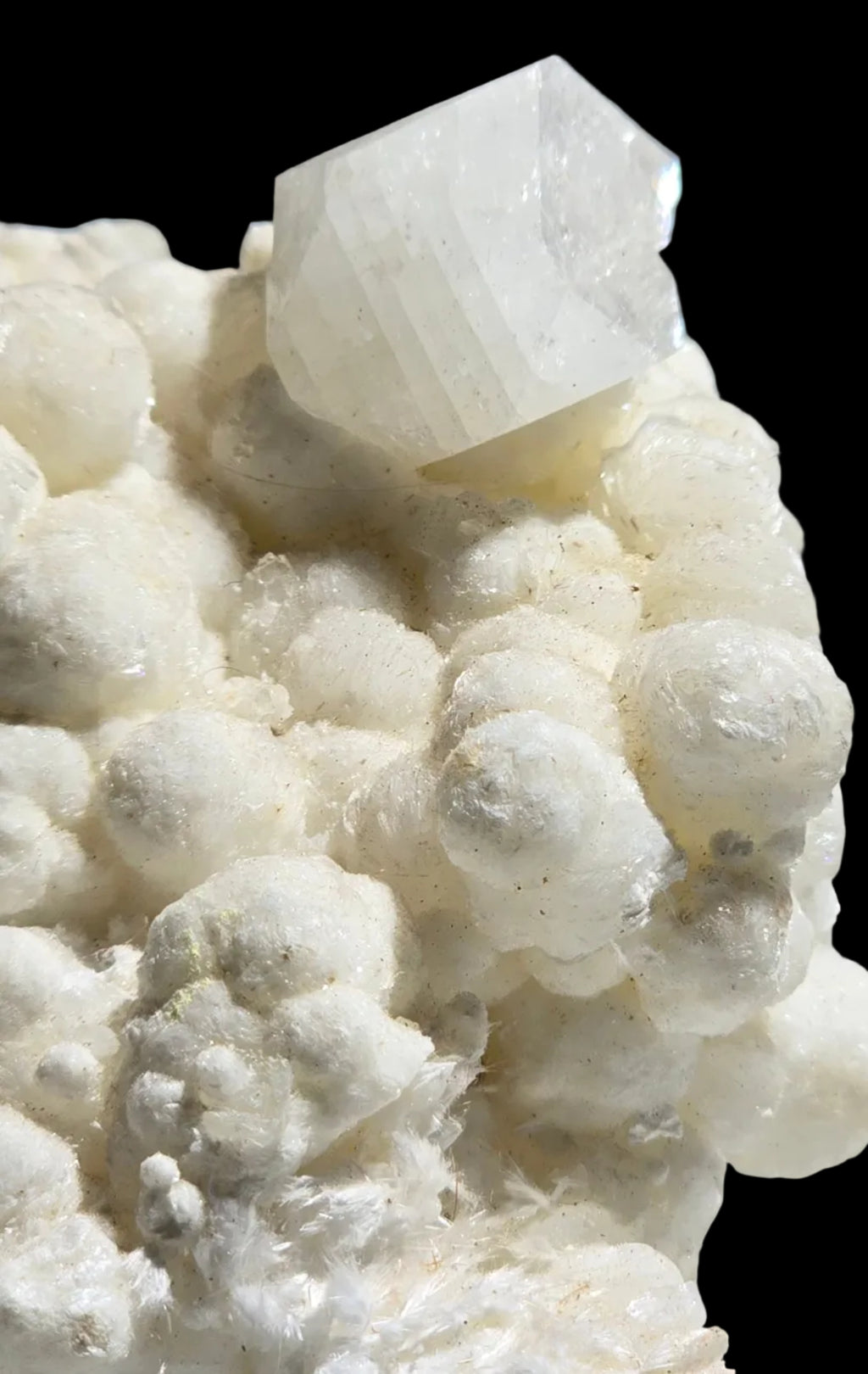 APOPHILLITE on Aragonite and sparays of Natrolite, Odha quarry Nashik District Nashik Division Maharasha INDIA (Cabinet)