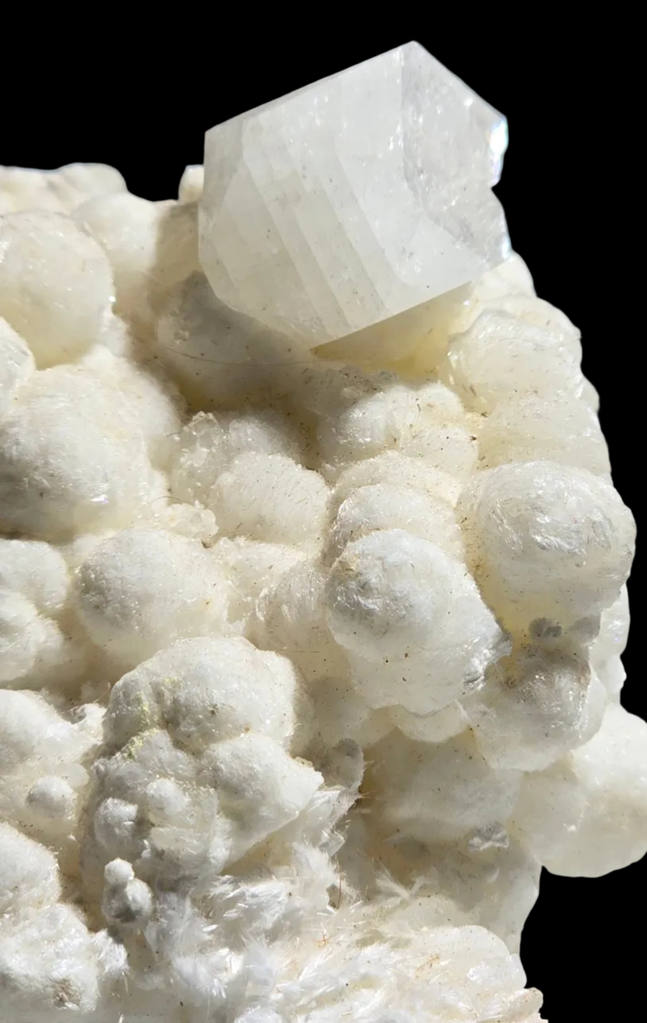 APOPHILLITE on Aragonite and sparays of Natrolite, Odha quarry Nashik District Nashik Division Maharasha INDIA (Cabinet)