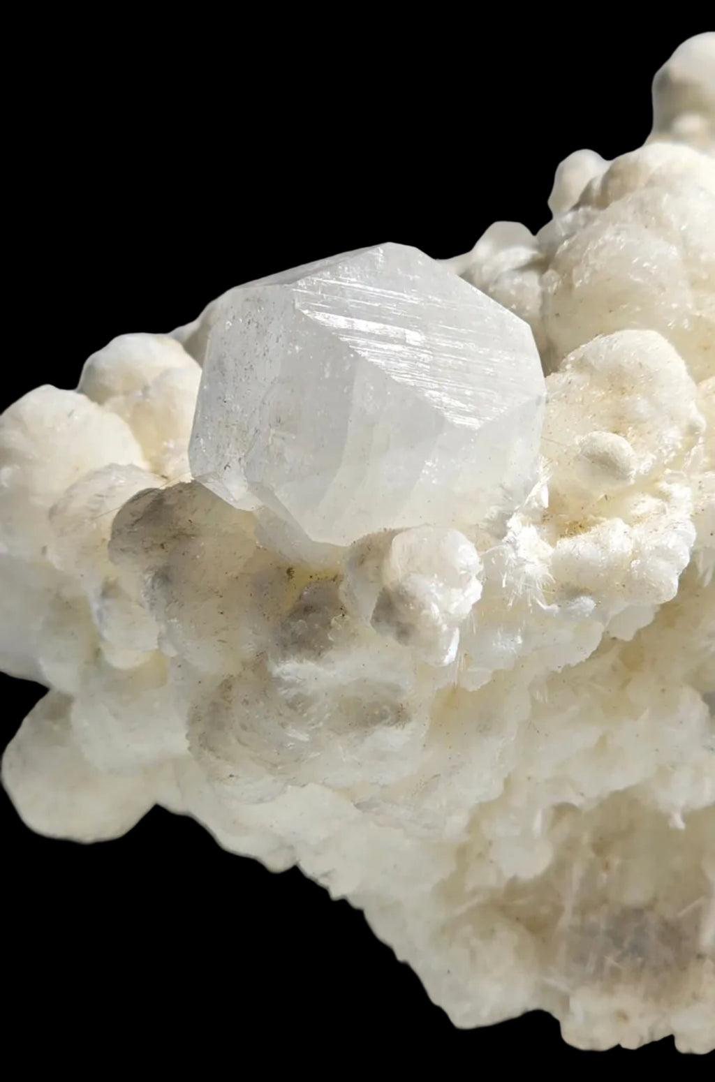APOPHILLITE on Aragonite and sparays of Natrolite, Odha quarry Nashik District Nashik Division Maharasha INDIA (Cabinet)