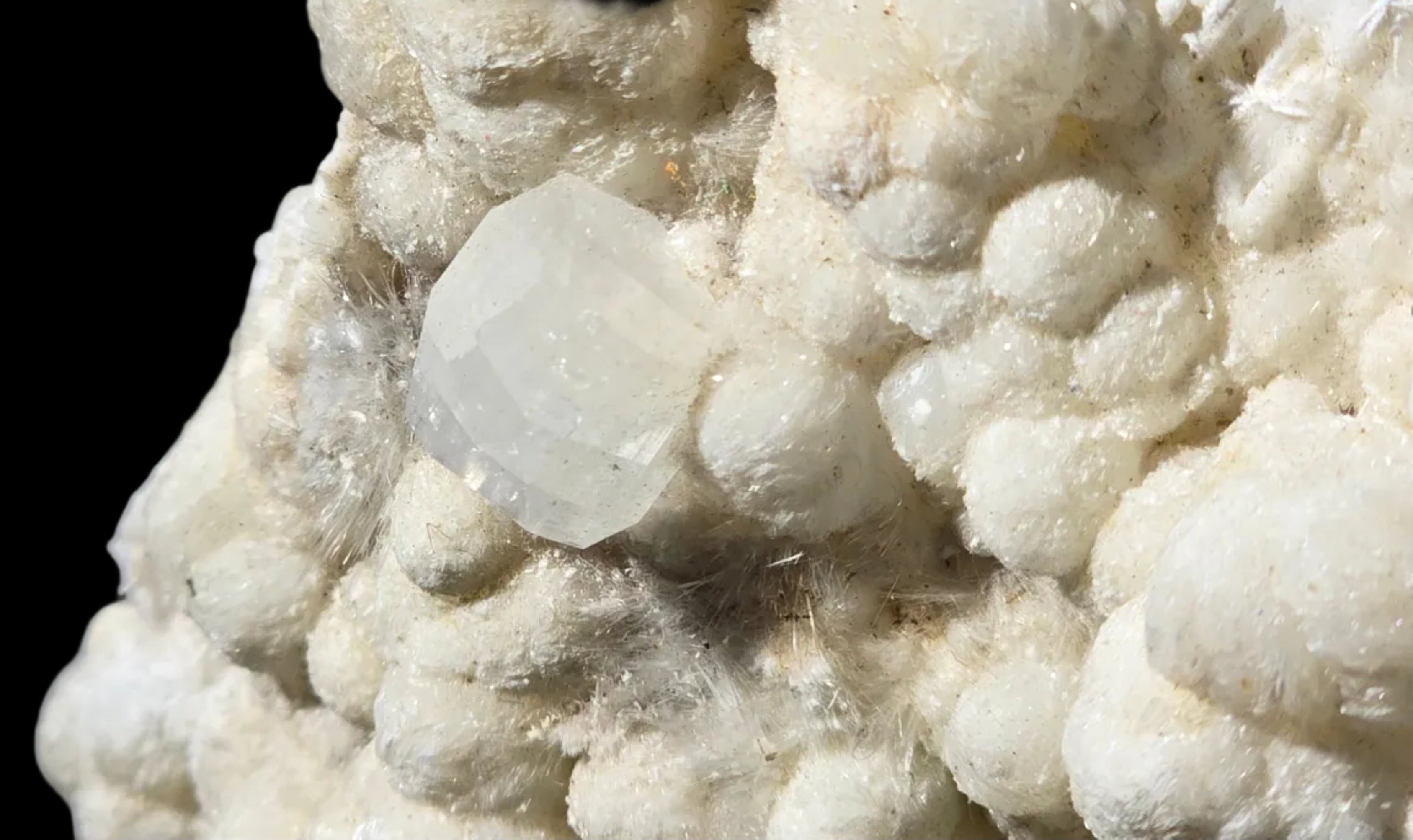 APOPHILLITE on Aragonite and sparays of Natrolite, Odha quarry Nashik District Nashik Division Maharasha INDIA (Cabinet)
