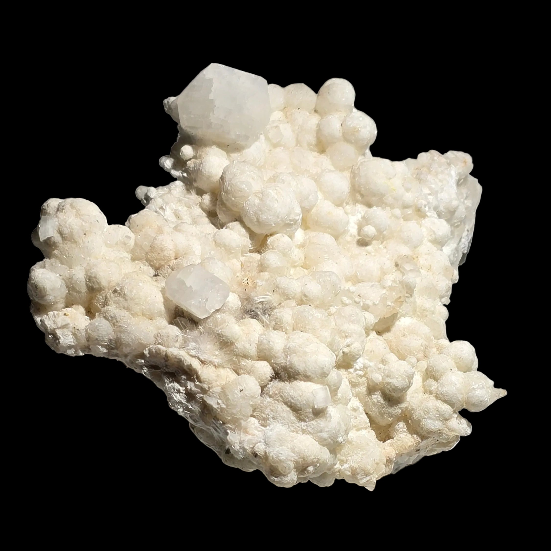 APOPHILLITE on Aragonite and sparays of Natrolite, Odha quarry Nashik District Nashik Division Maharasha INDIA (Cabinet)