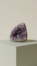 Polished Amethyst Cluster Display