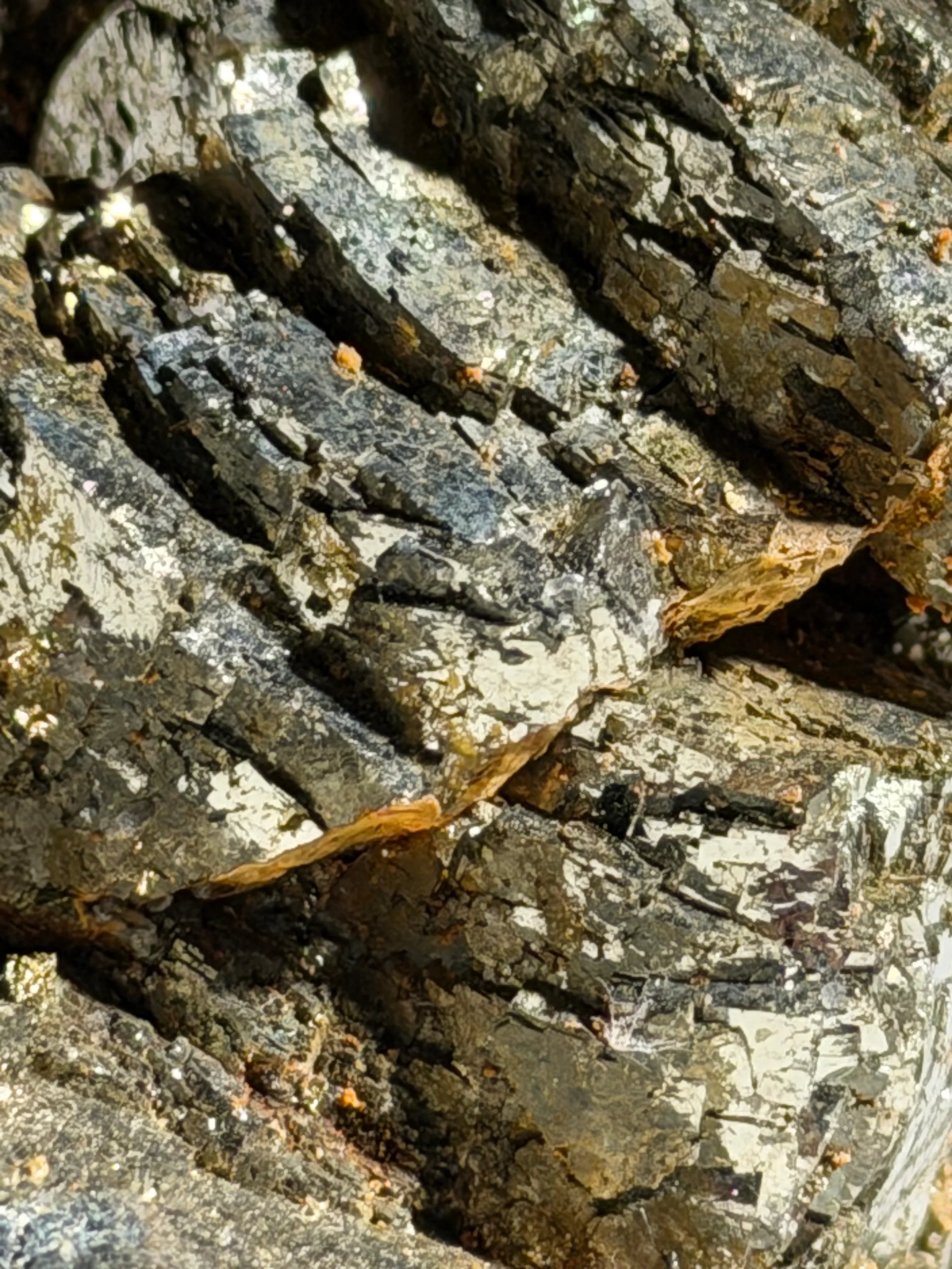 Hematite mineral specimen with metallic luster and layered texture, ideal for rock and crystal collectors.