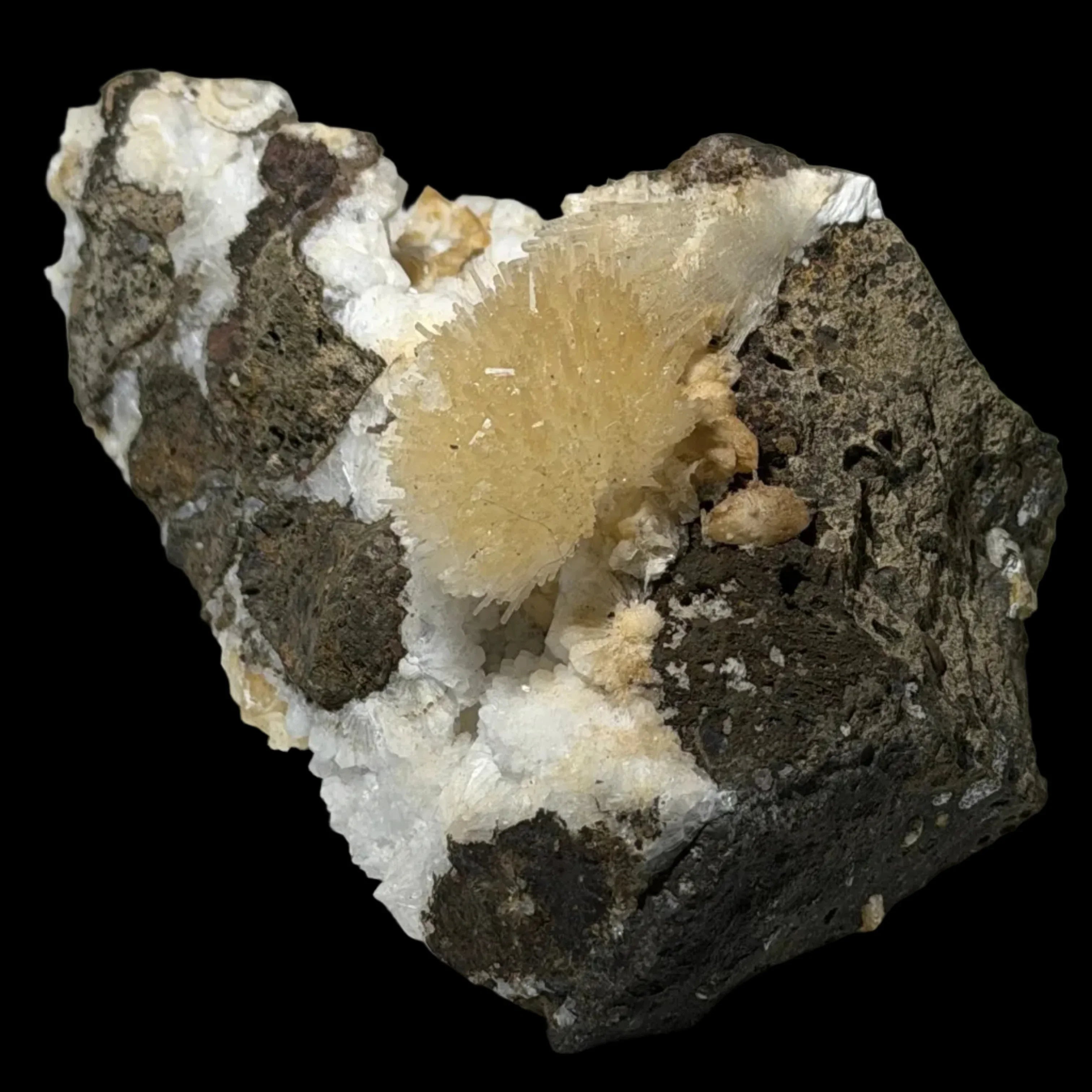 Calcite on volcanic rock matrix, showcasing golden-yellow crystal formations against dark basalt, ideal for mineral collectors.