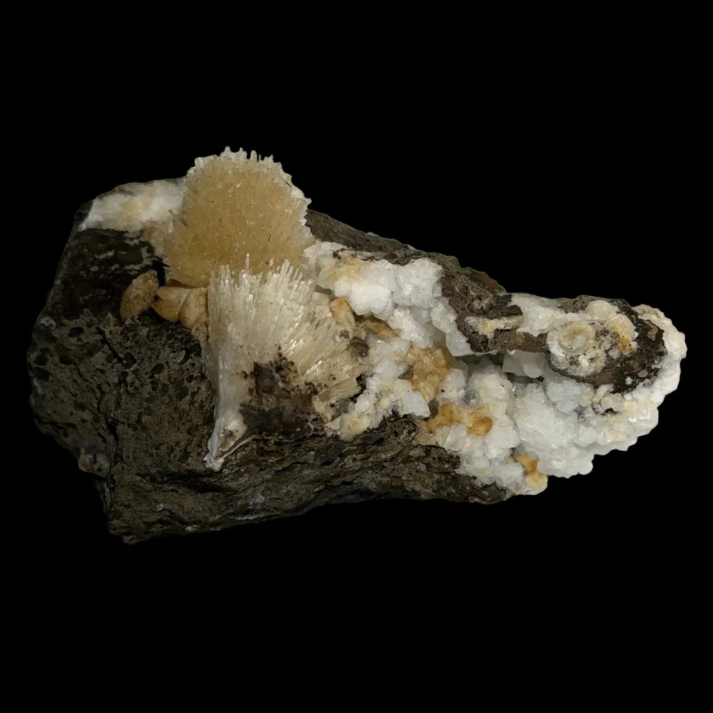 Calcite and Quartz mineral specimen from classic locality, featuring white crystals on dark matrix