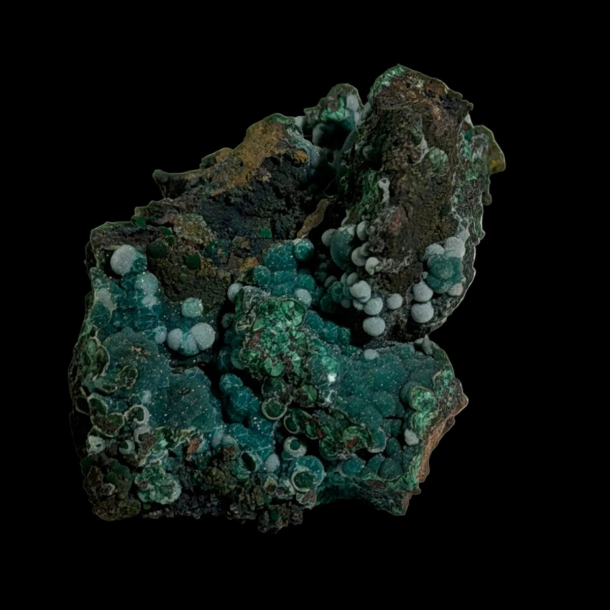 CHRYSOCAL, Luca de Oro CHILE (large cabinet)