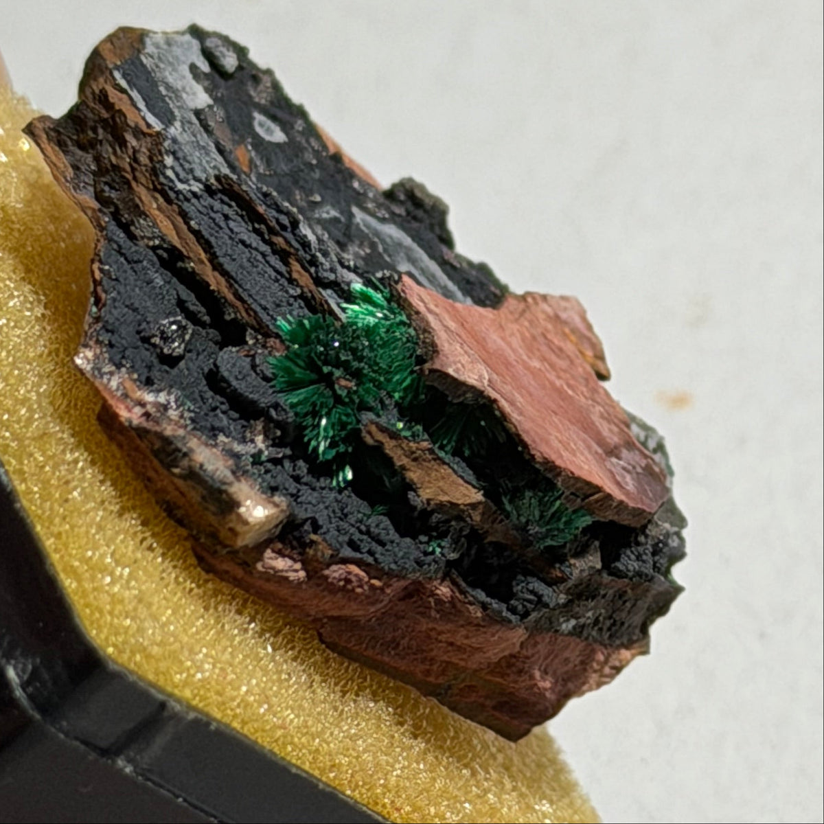 MALACHIT, BURRA BURRA KUPFERMINE, SÜDAUSTRALIEN (small cabinet)