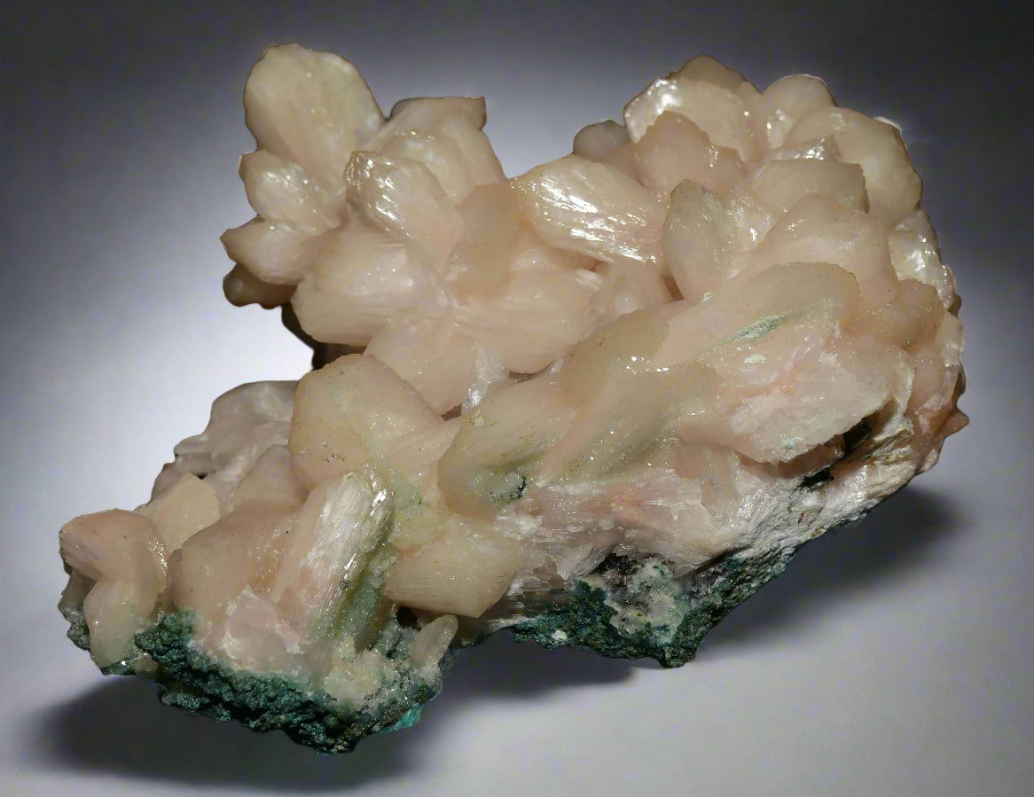 STILBITE (BEST PINK) (large cabinet)