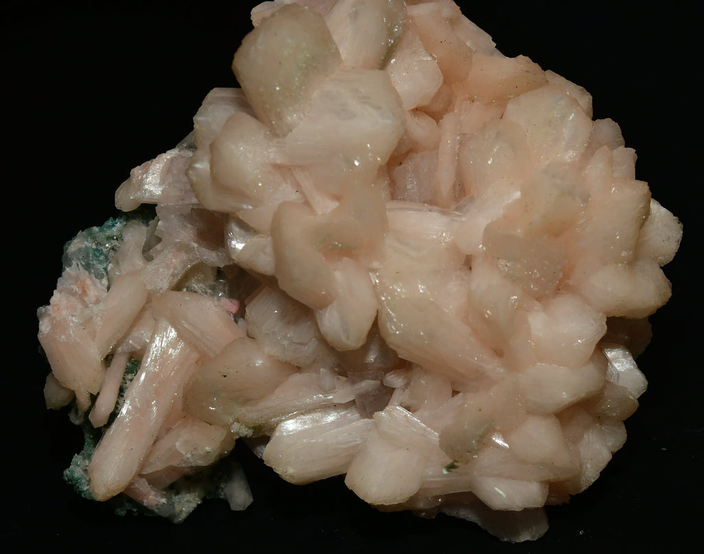 STILBITE (MEILLEURE ROSE), Mine de Waholi, Poona, INDE (grande armoire)