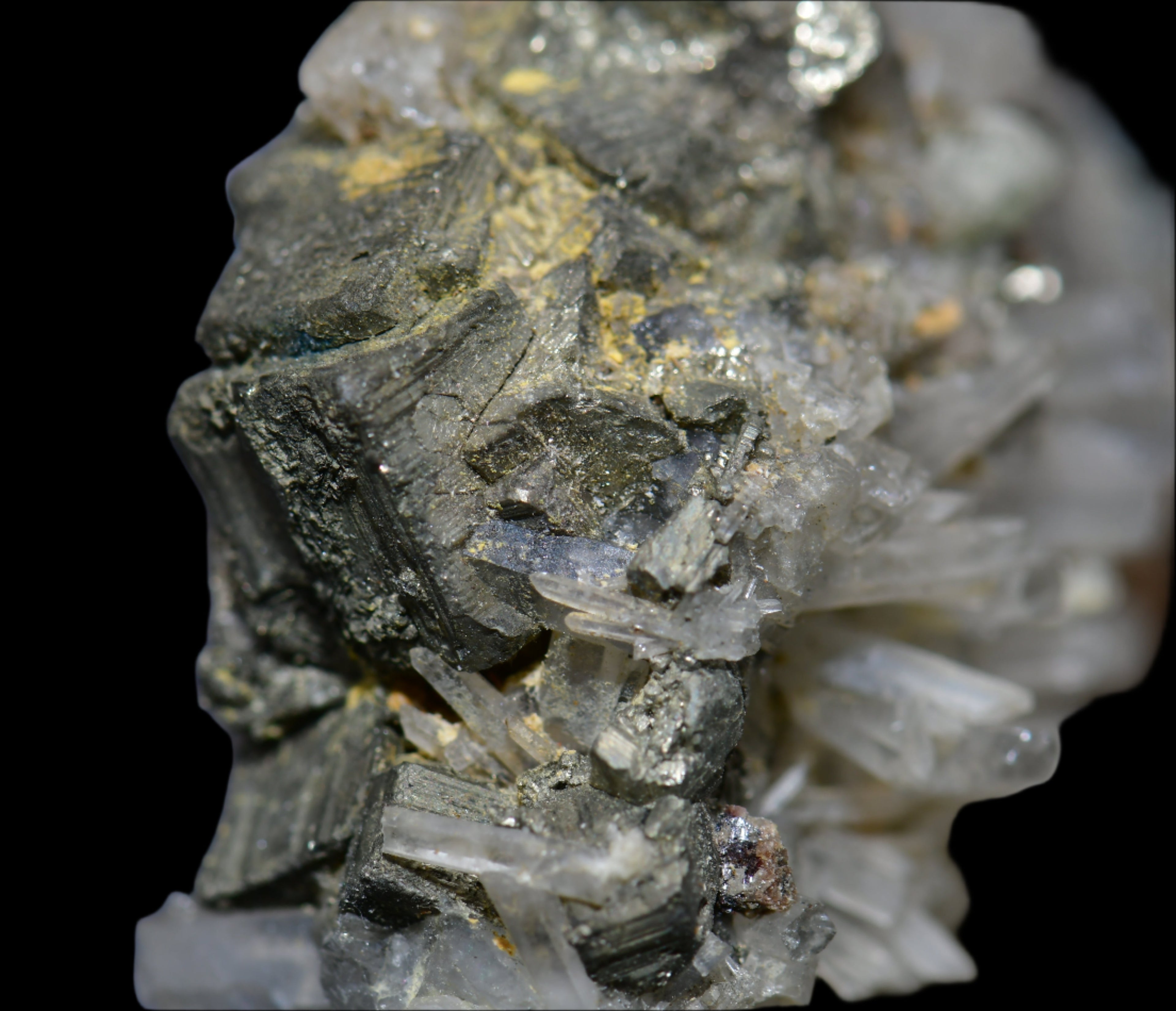 PYRITE on QUARTZ, LLALLAGUA, BOLIVIA (cabinet)