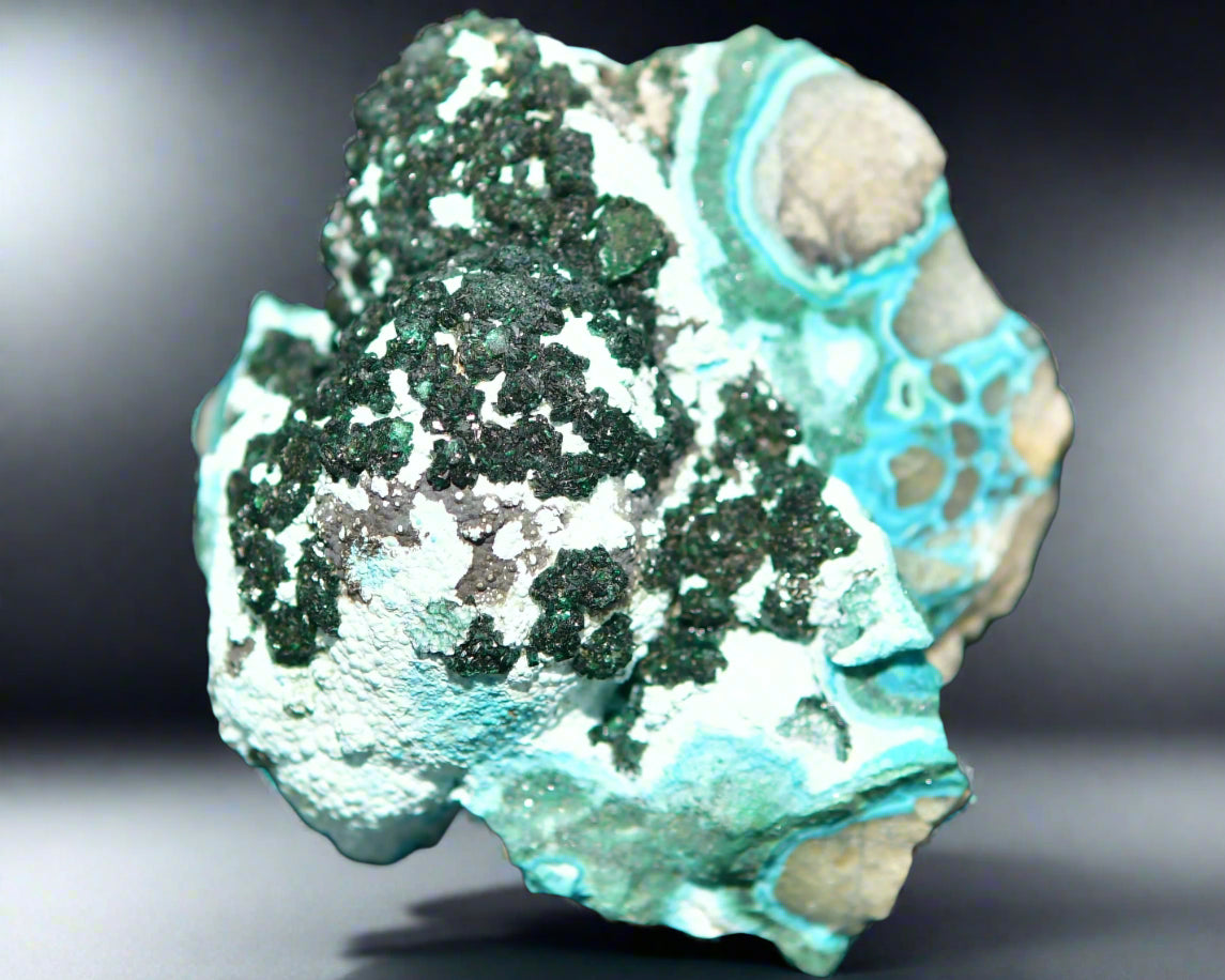 MALACHITE with CHRYSOCALLA (small cabinet)