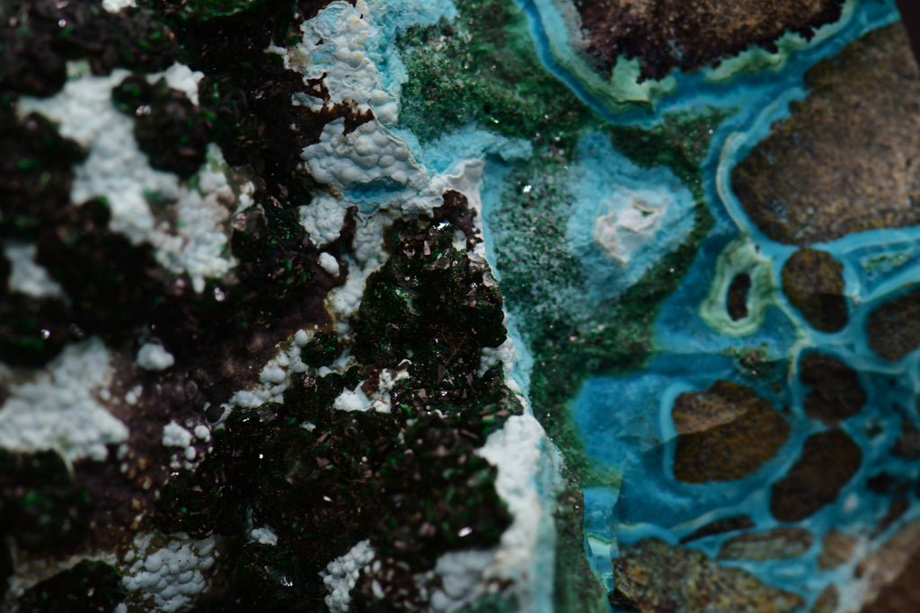 MALACHITE with CHRYSOCALLA (small cabinet)