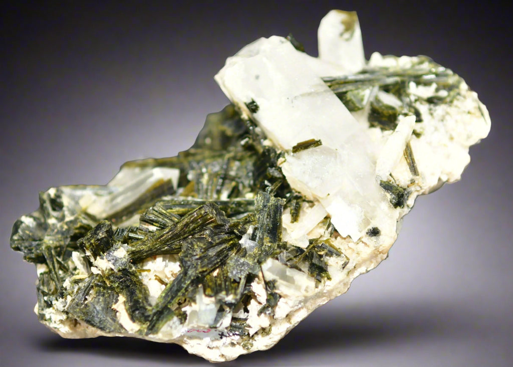 EPIDOTE associated with QUARTZ (large cabinet)