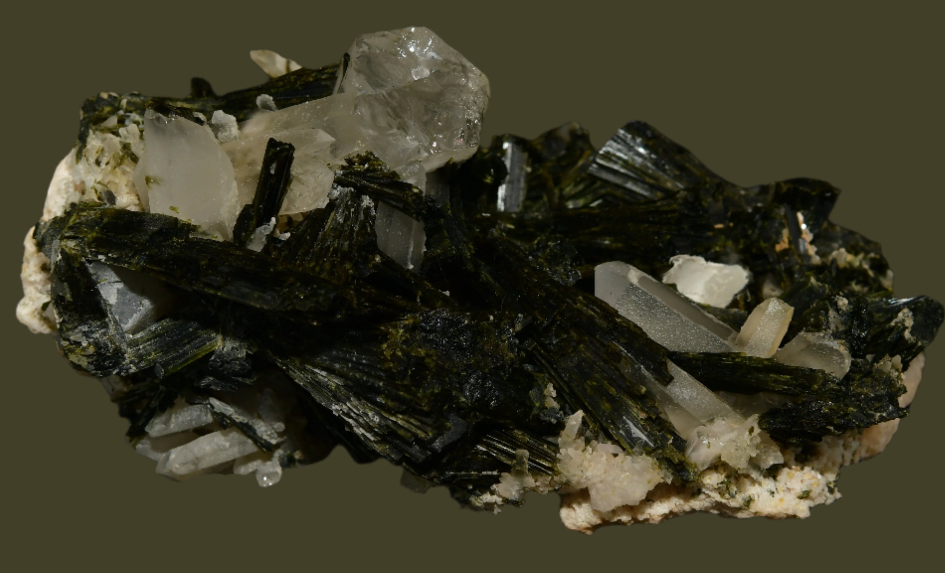 EPIDOTE associated with QUARTZ (large cabinet)