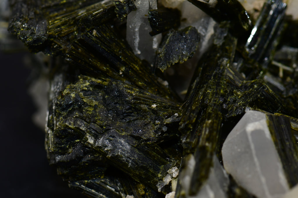 EPIDOTE associated with QUARTZ (large cabinet)
