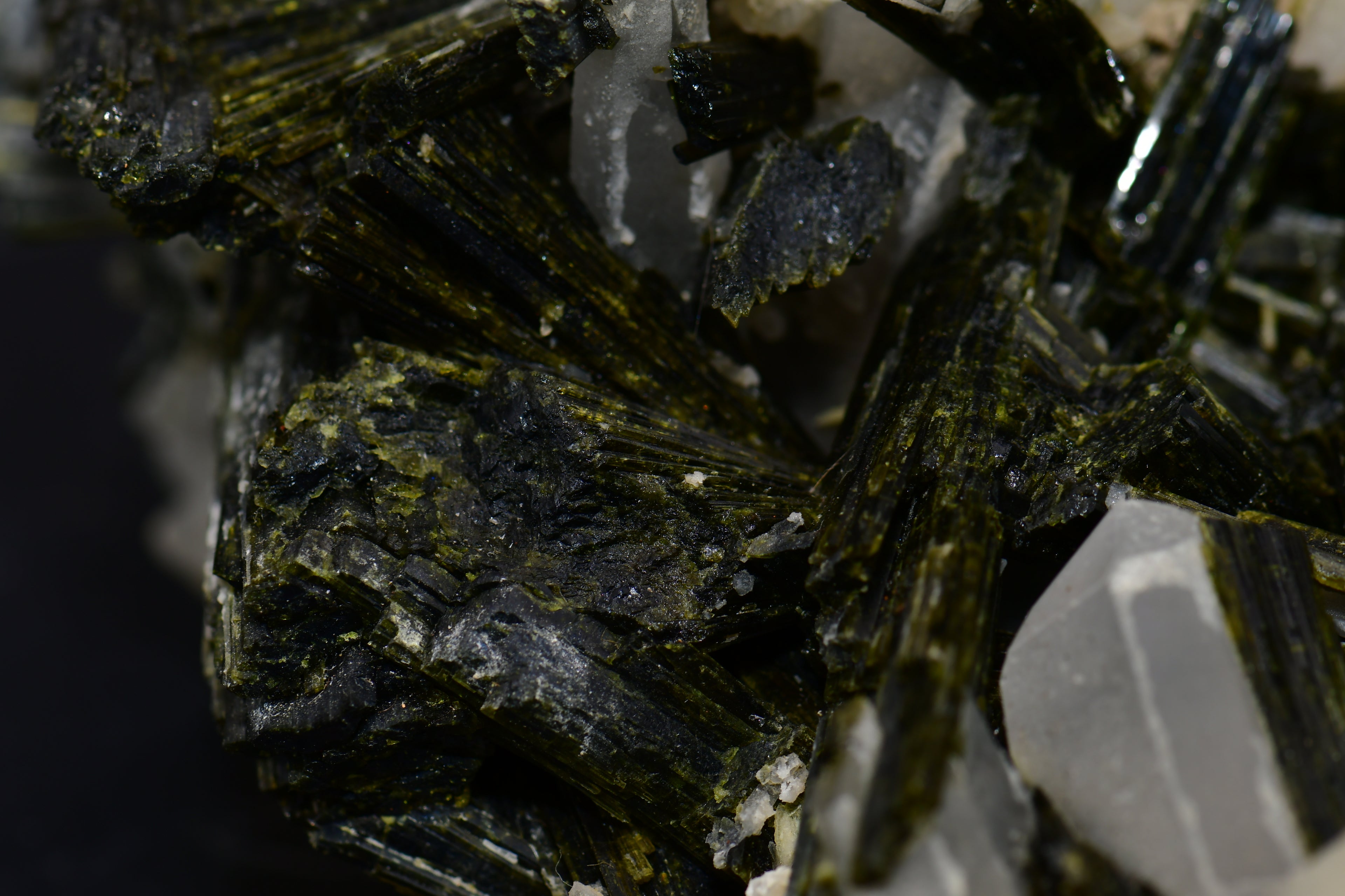 EPIDOTE associated with QUARTZ (large cabinet)