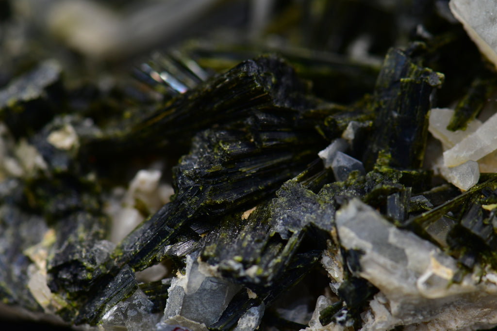 EPIDOTE associated with QUARTZ (large cabinet)