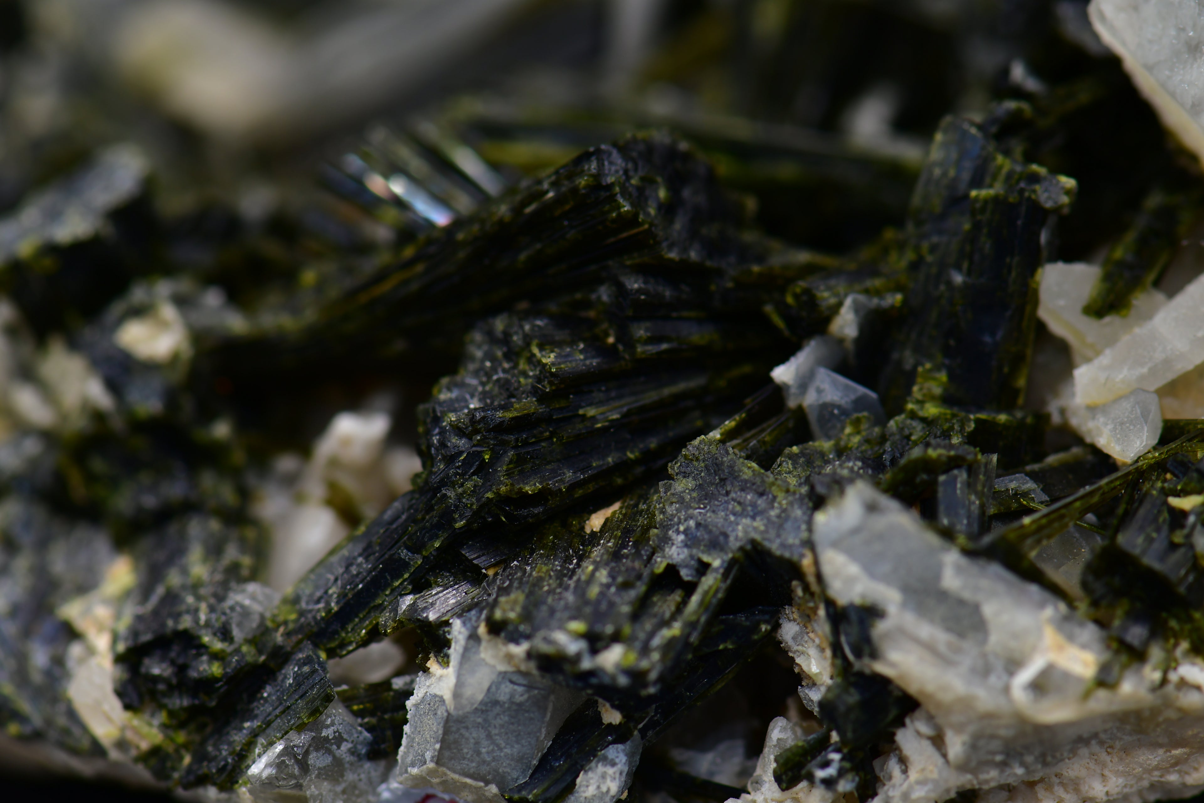 EPIDOTE associated with QUARTZ (large cabinet)