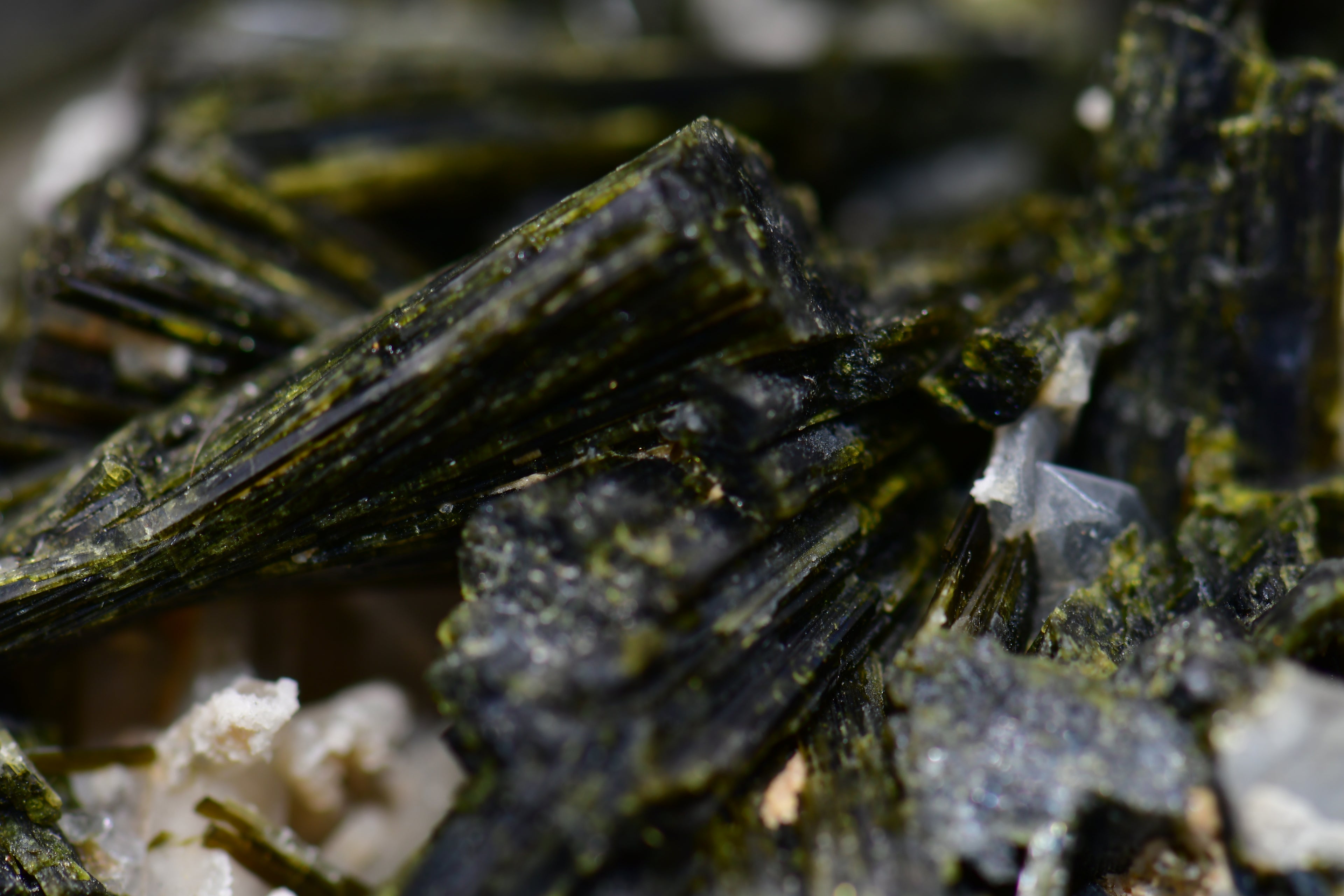 EPIDOTE associated with QUARTZ (large cabinet)