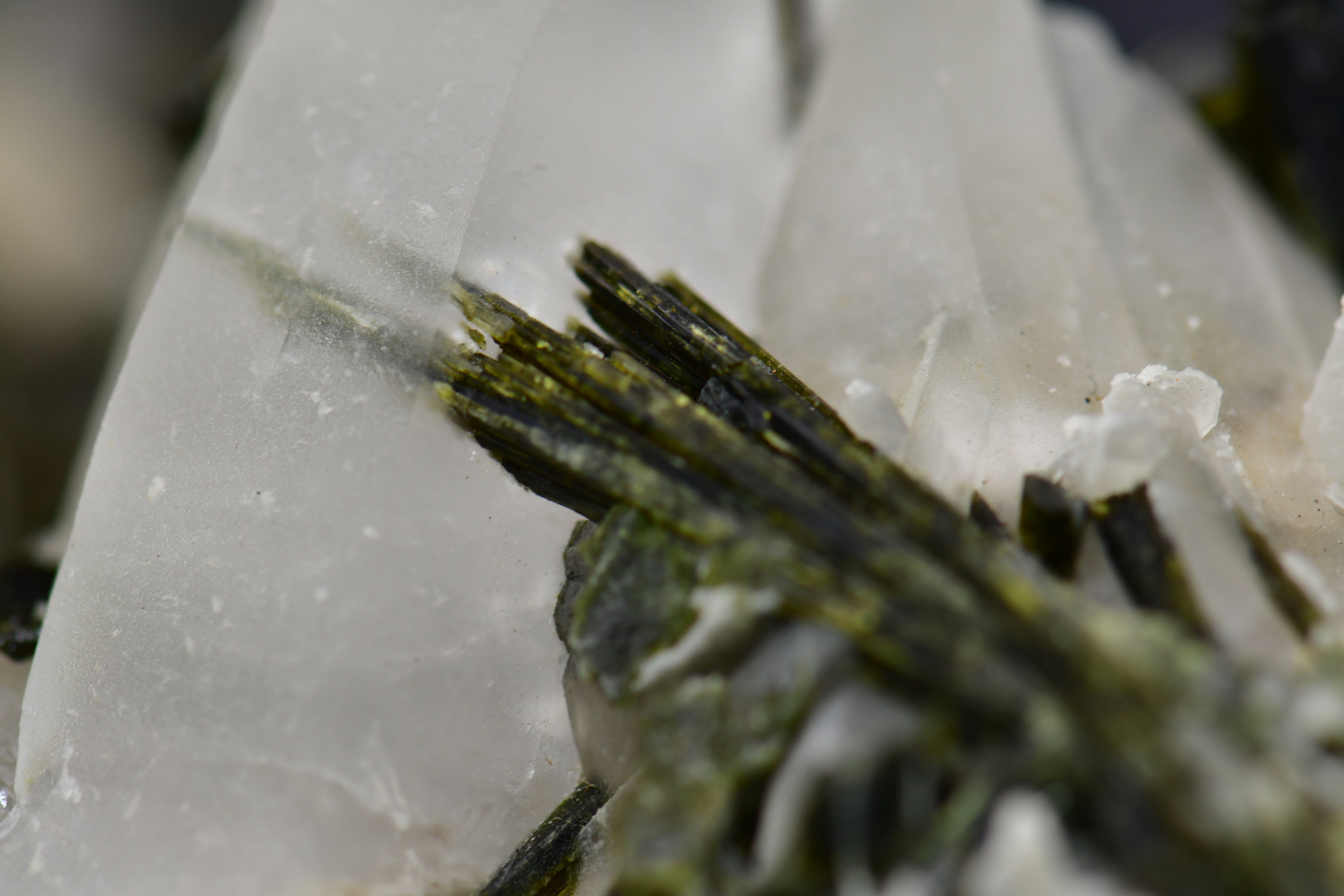 EPIDOTE associated with QUARTZ (large cabinet)