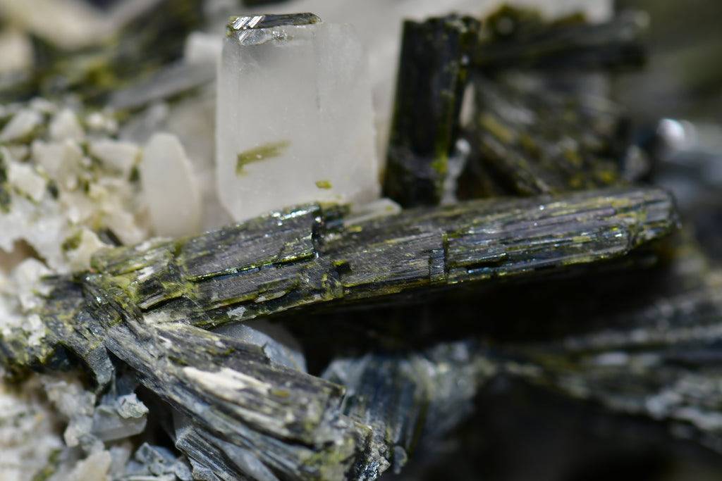 EPIDOTE associated with QUARTZ (large cabinet)