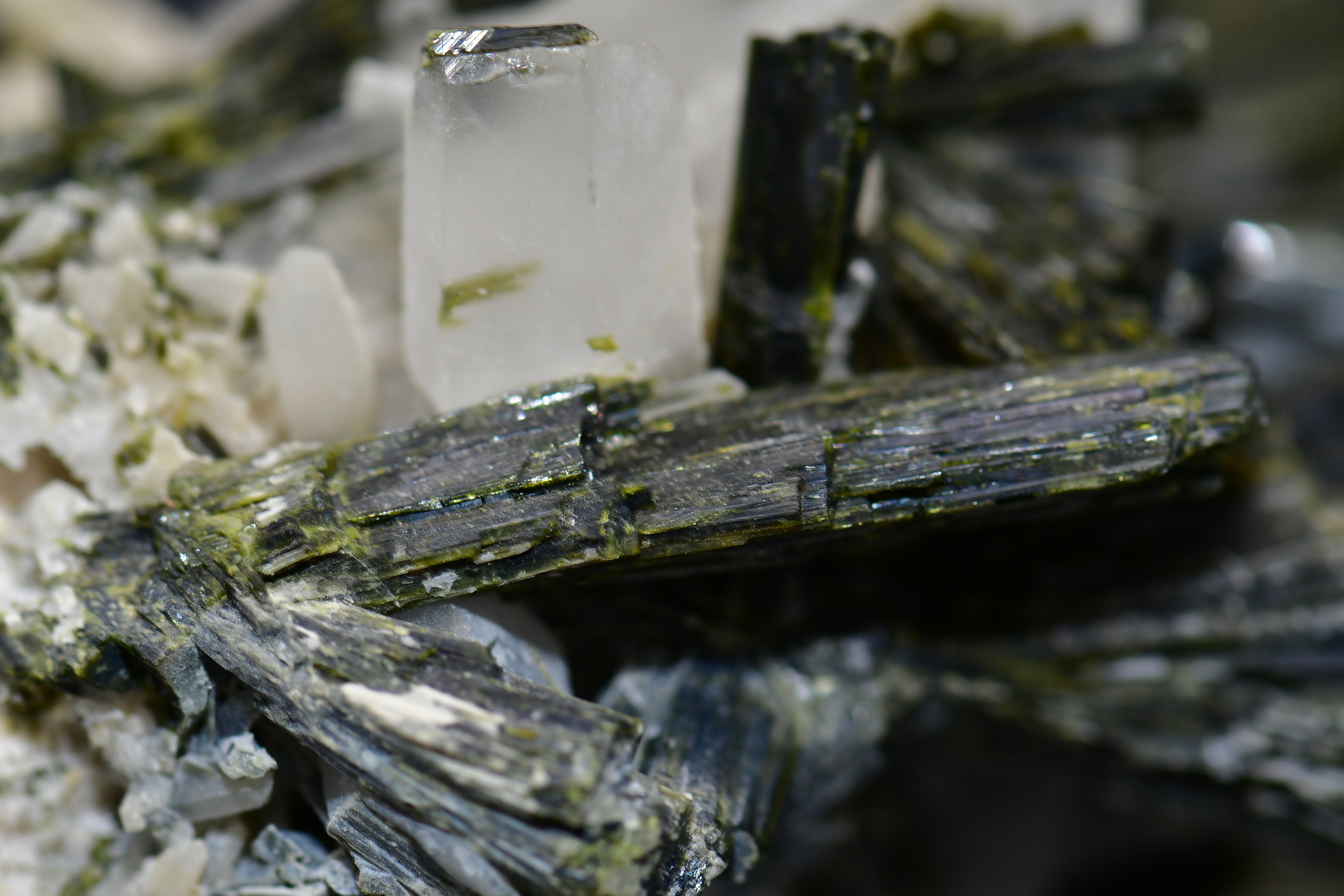 EPIDOTE associated with QUARTZ (large cabinet)